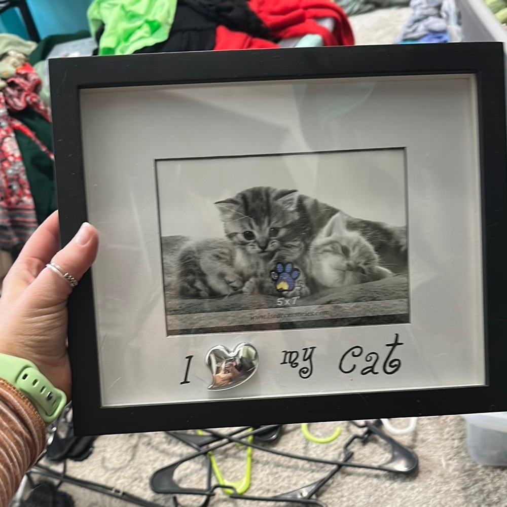 Black Cat Picture Frame